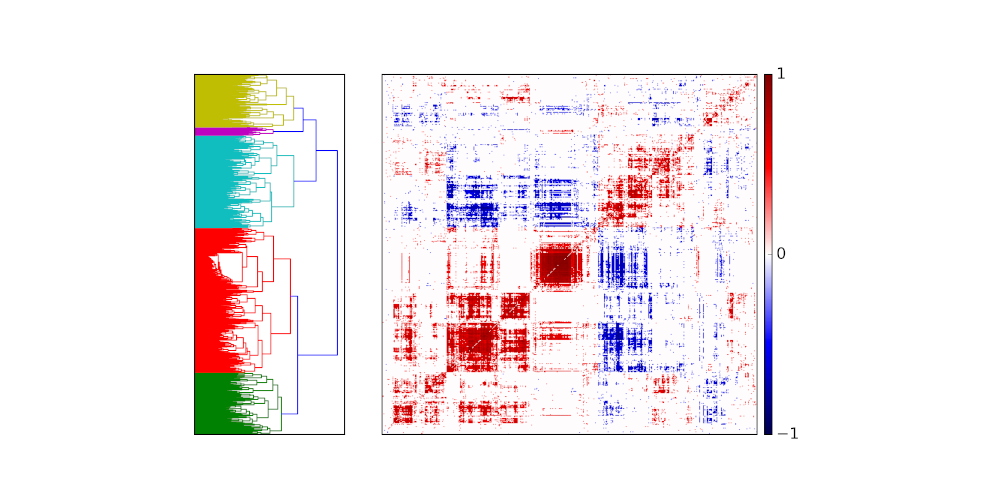 gene-gene correlation matrix